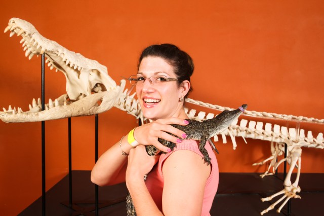 This baby saltwater crocodile was jumpy